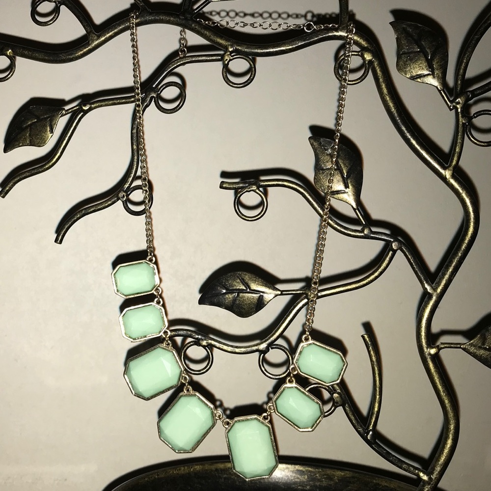 Charming Charlie necklace